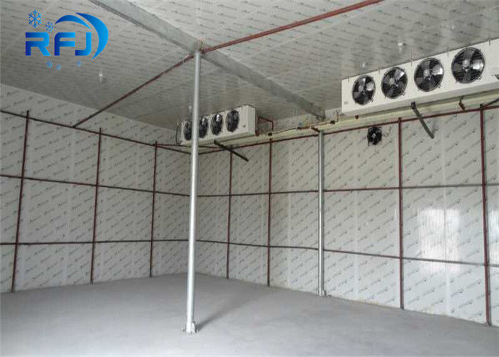 Walking Deep Freezer Commercial Cold Room 380v 3p 50hz Cooler For