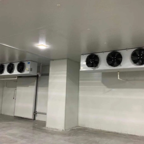 Latest company blogs about Refrigeration System Maintenance