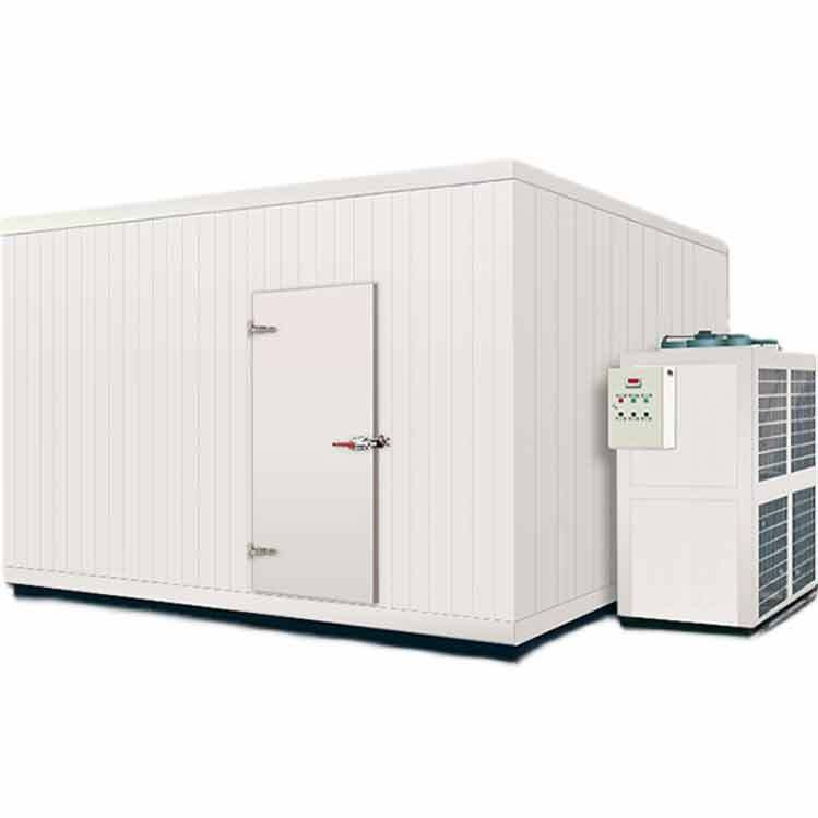 Latest company blogs about Express Logistics Cold Storage Renovation Project