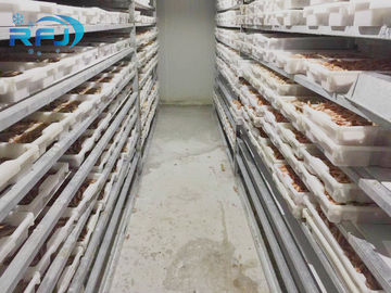 Buy Fresh Tuna Small Tunnel Plate Blast Walk In Freezer Industrial Seafood Iqf Cold Contact Panel online manufacture