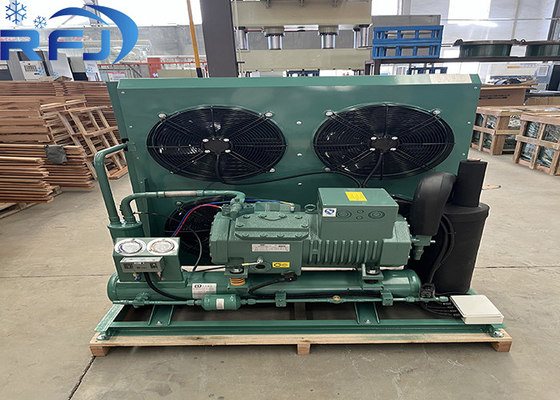 2HP Semi-hermetic Low-Temperature Air-Cooled Condensing Unit for Refrigeration Systems