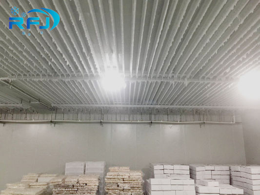 Fresh Keeping Industrial Cold Room Cold Storage Adjustable Temperature 3 Years Warranty