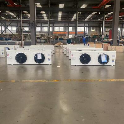DL30 6.5kW Wall Mount Air Cooler Evaporator for 30㎡ Cold Storage